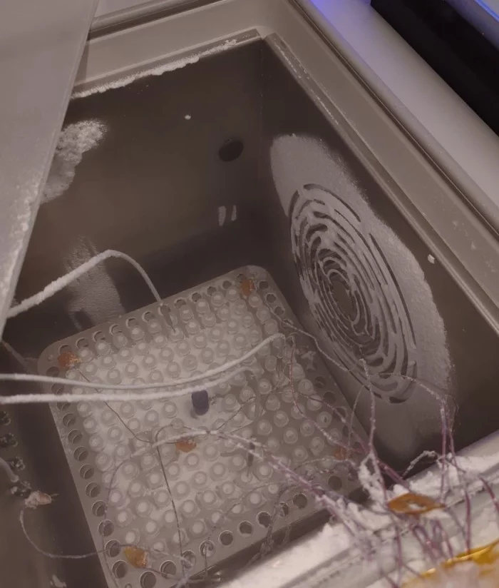 Thermal validation